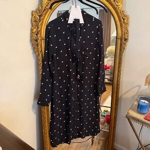 Ann Taylor Shirt Dress